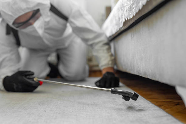 Professional Cockroach Control technician working in Ferguson, MO