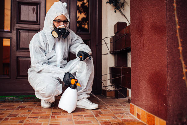 Reliable Cockroach Control contractor in Ferguson, MO by Nex Pest Control