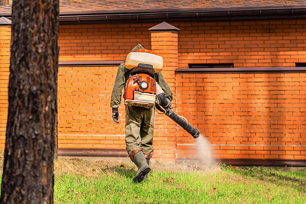 Top rated local Cockroach Control specialists in Ferguson, MO